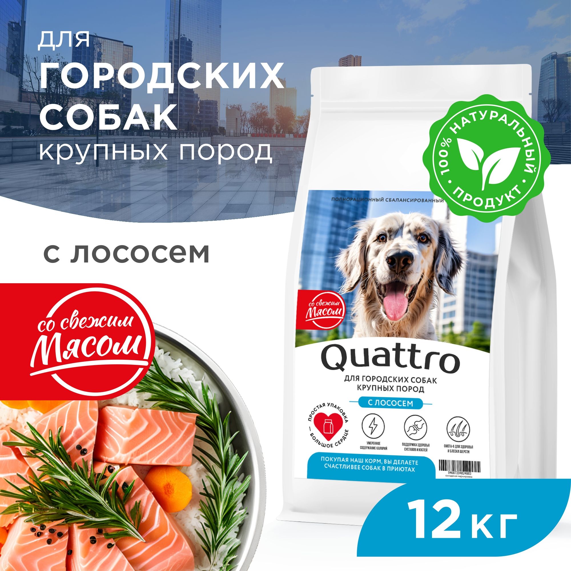 

Сухой корм для собак QUATTRO, крупные породы, для живущих в городе, с лососем, 12 кг