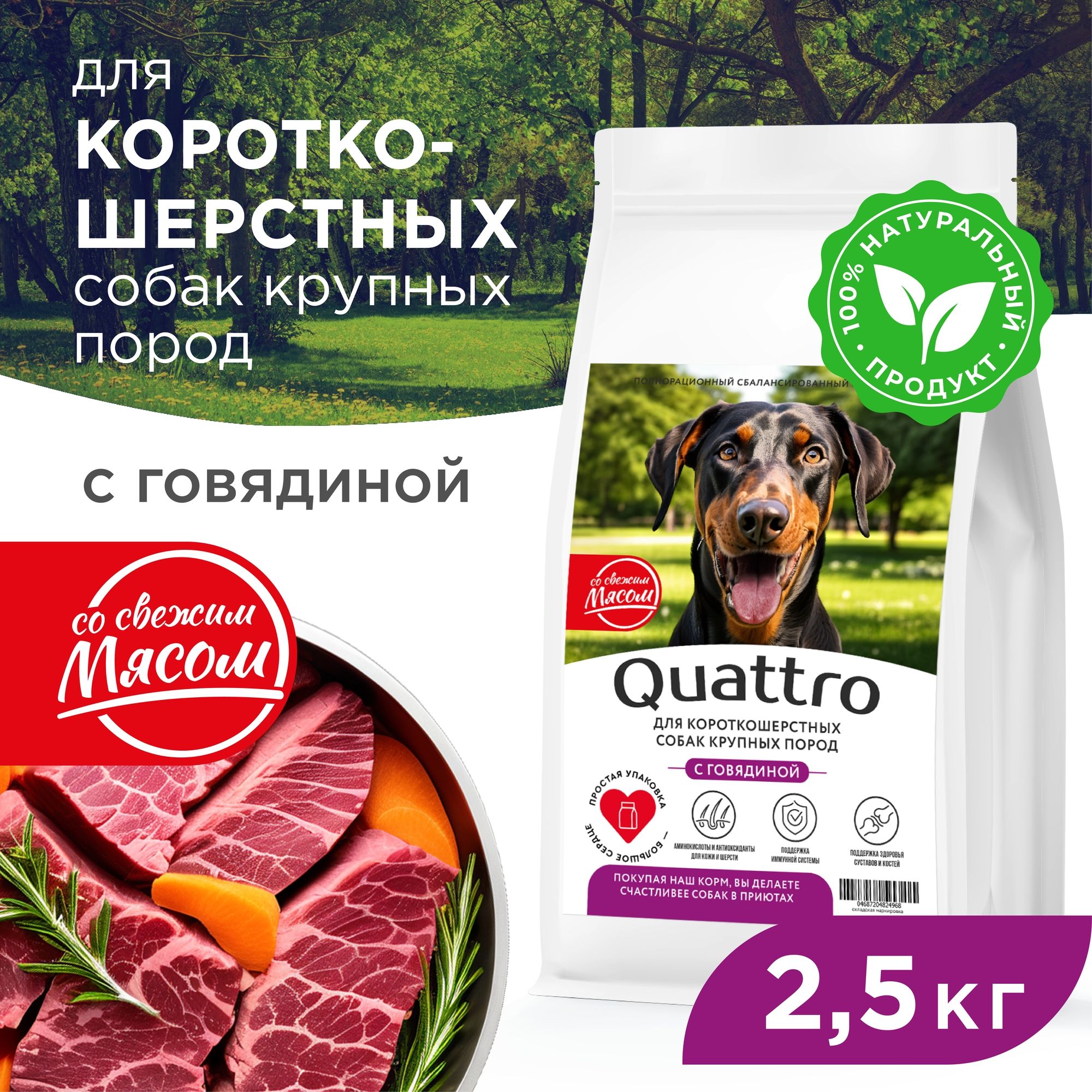 Сухой корм для собак QUATTRO, крупные короткошерстные породы, с говядиной, 2,5 кг