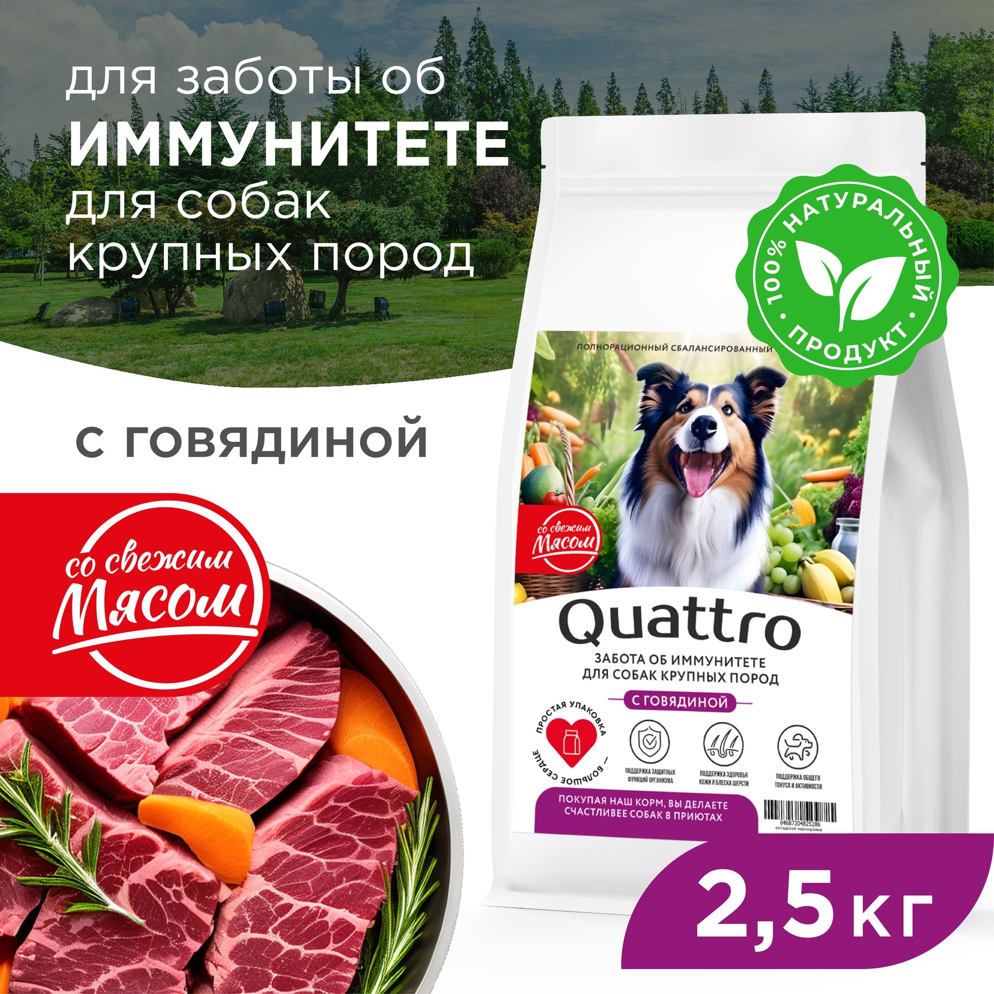 

Сухой корм для собак QUATTRO, крупные породы, забота об иммунитете, с говядиной, 2,5 кг