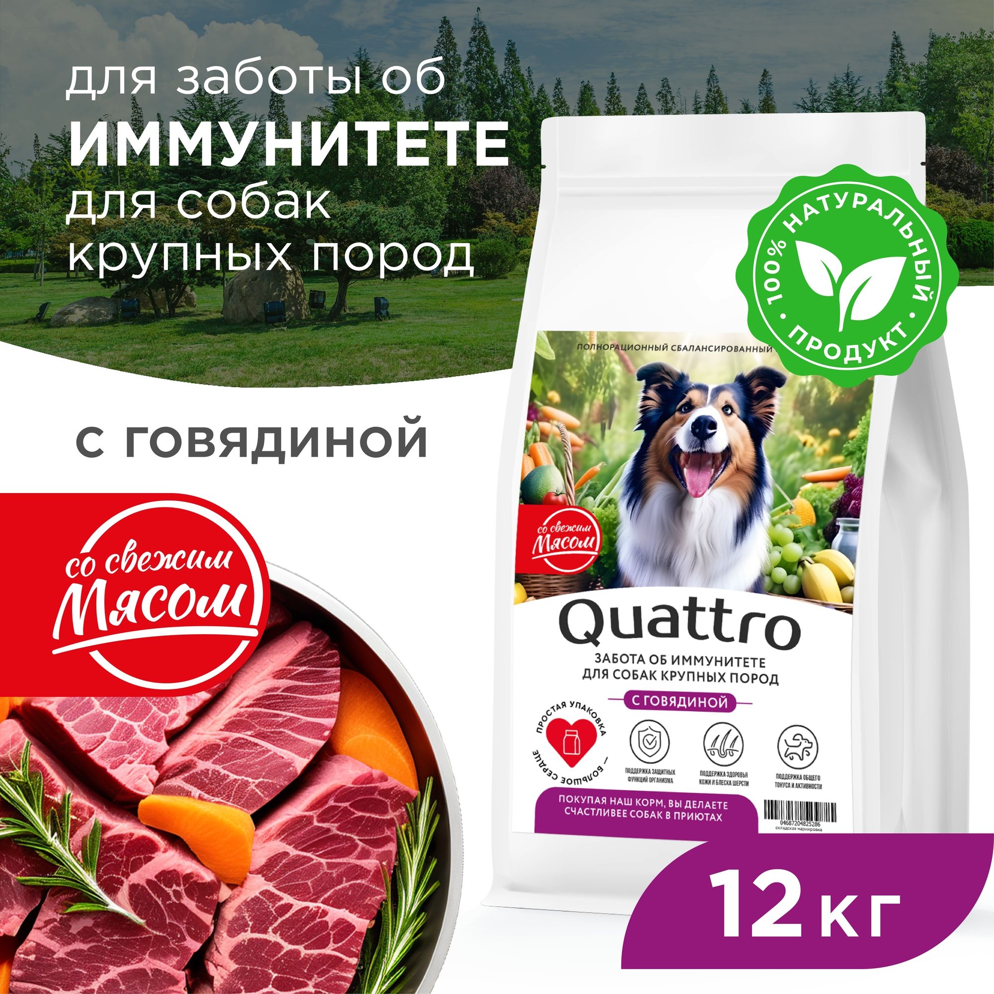 

Сухой корм для собак QUATTRO, крупные породы, забота об иммунитете, с говядиной, 12 кг