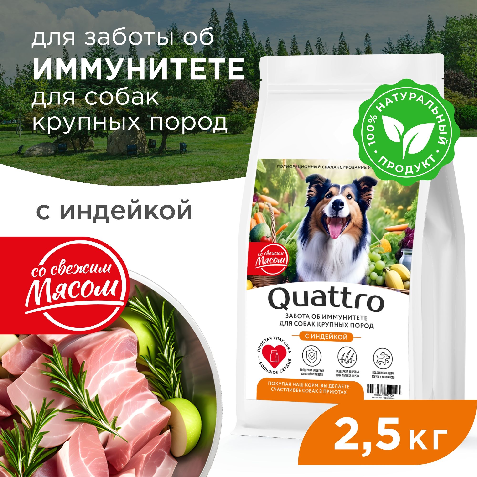 

Сухой корм для собак QUATTRO, крупные породы, забота об иммунитете, с индейкой, 2,5 кг