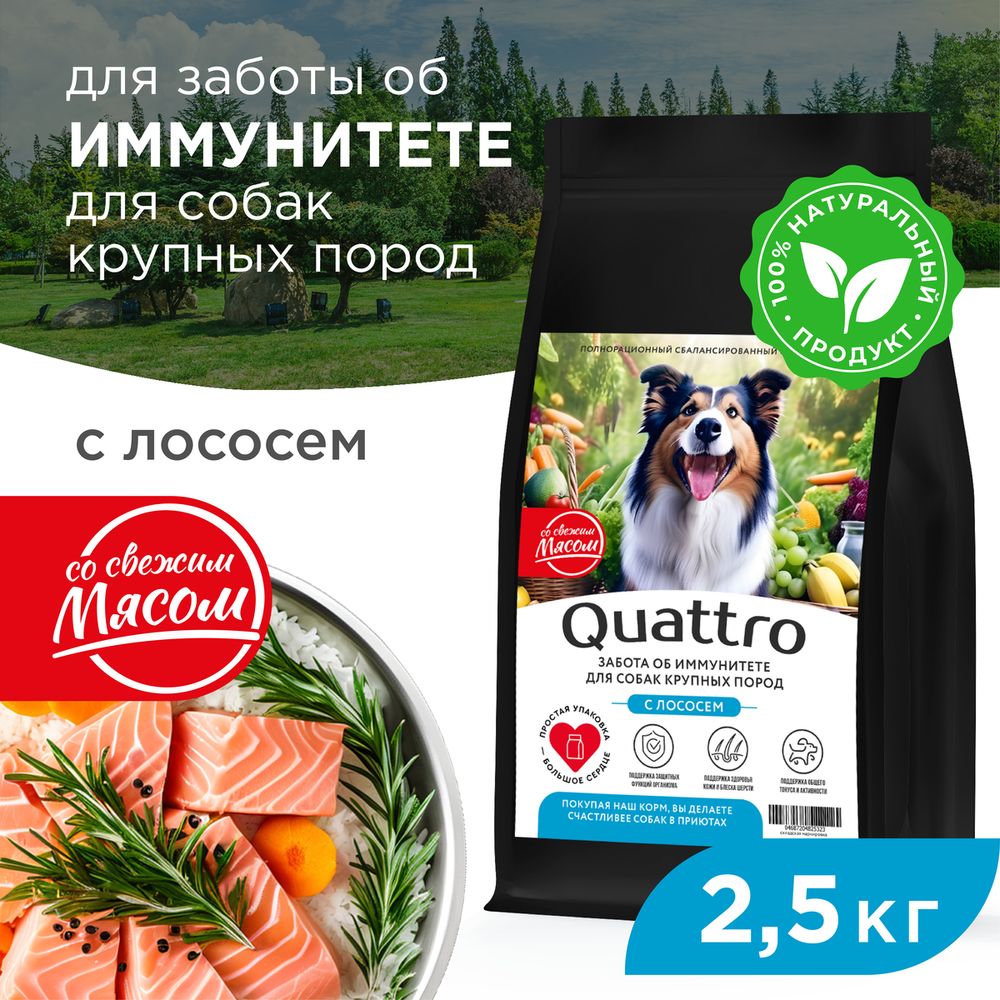 

Сухой корм для собак QUATTRO, крупные породы, забота об иммунитете, с лососем, 2,5 кг