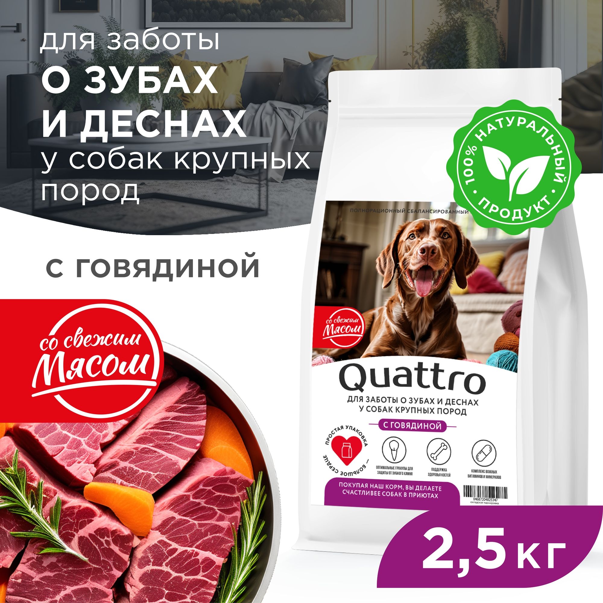 Сухой корм для собак QUATTRO, крупные породы, для заботы зубов и десен, с говядиной 2,5 кг