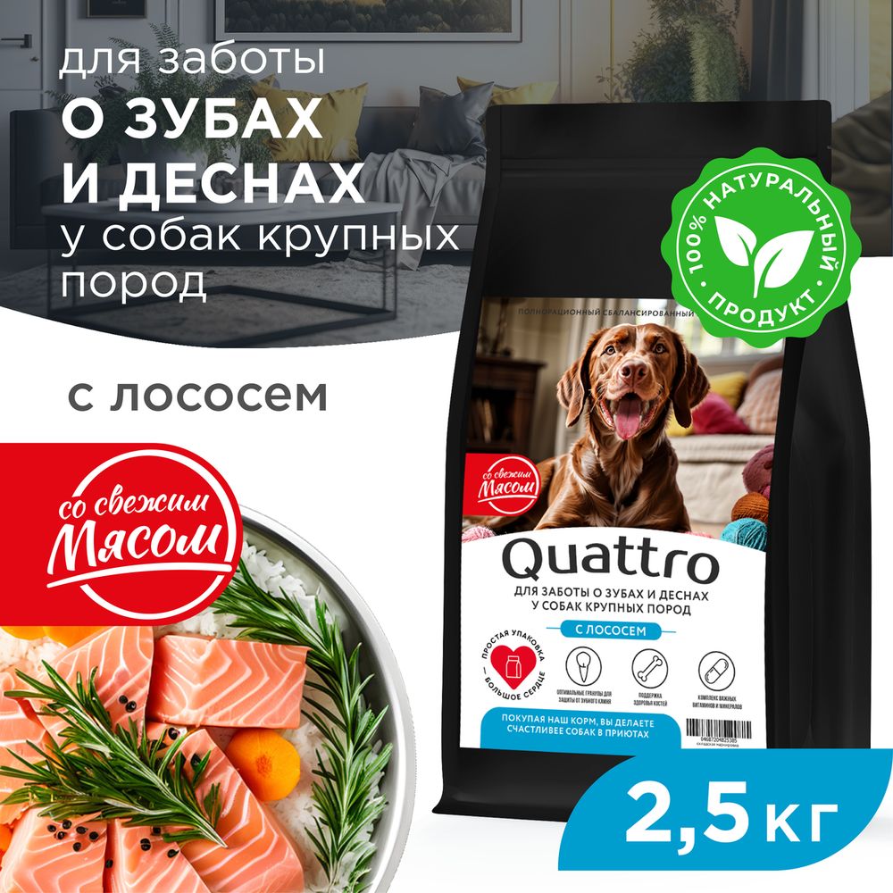 

Сухой корм для собак QUATTRO, крупные породы, для заботы зубов и десен, с лососем, 2,5 кг