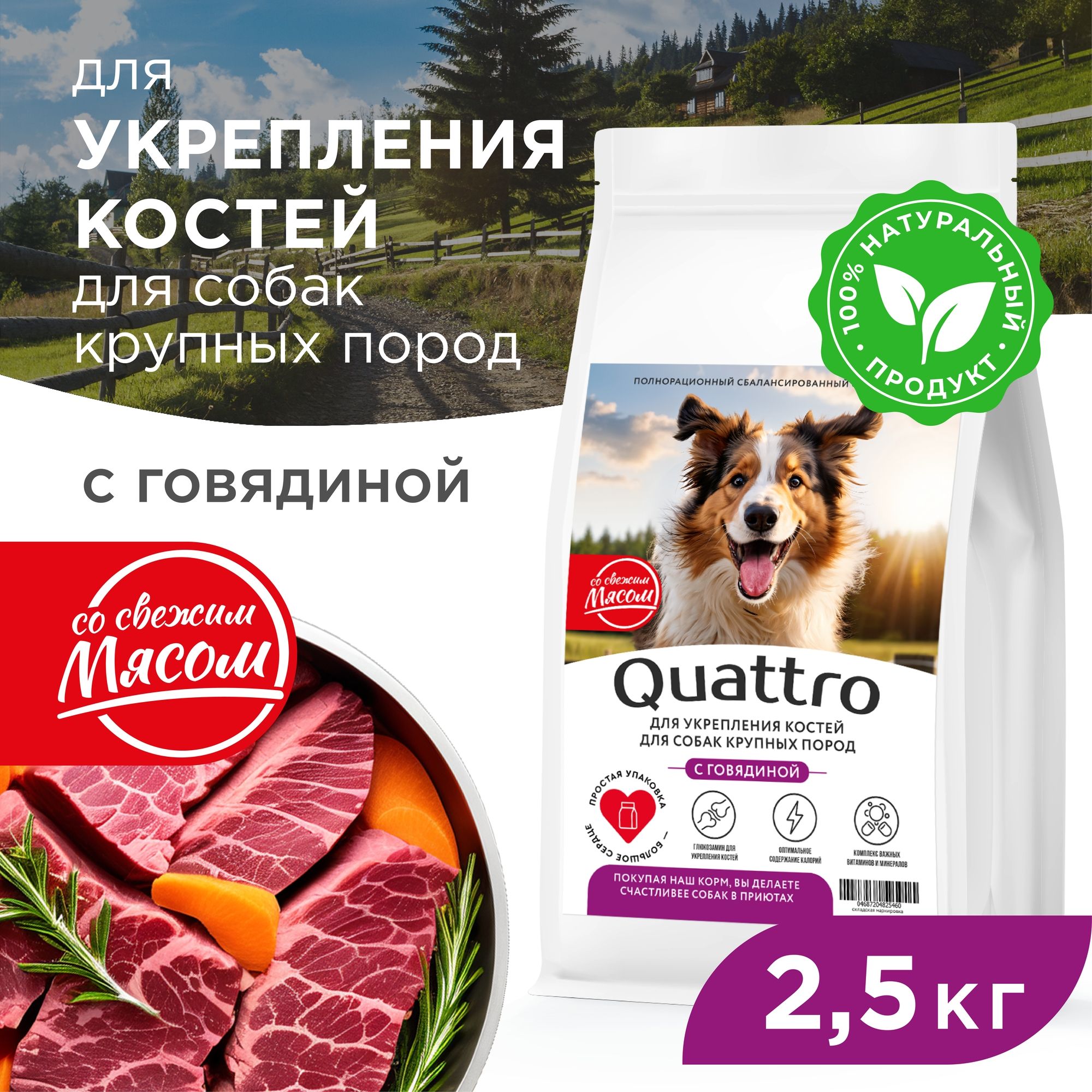 Сухой корм для собак QUATTRO, крупные породы, для укрепления костей, с говядиной, 2,5 кг