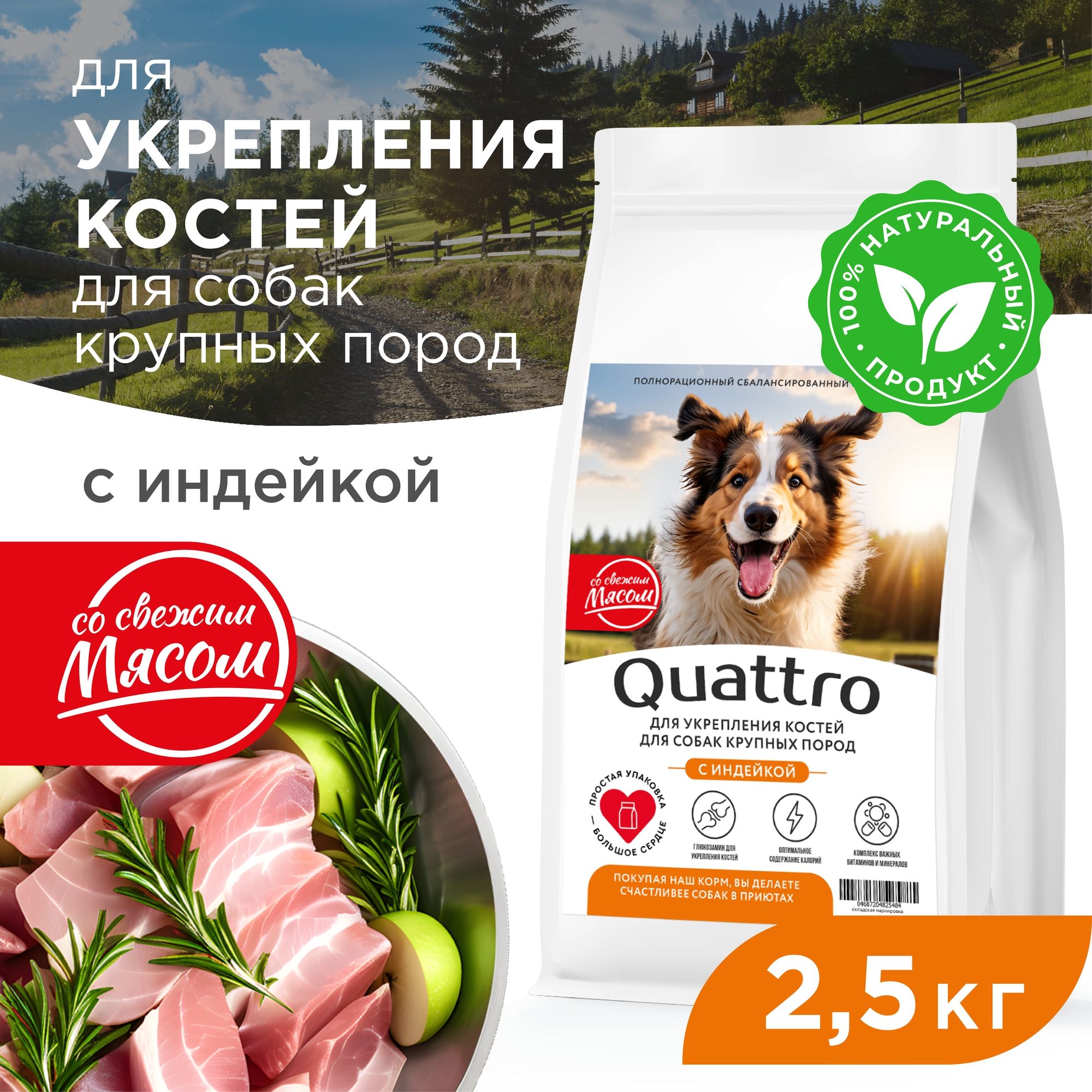 Сухой корм для собак QUATTRO, крупные породы, для укрепления костей, с индейкой, 2,5 кг