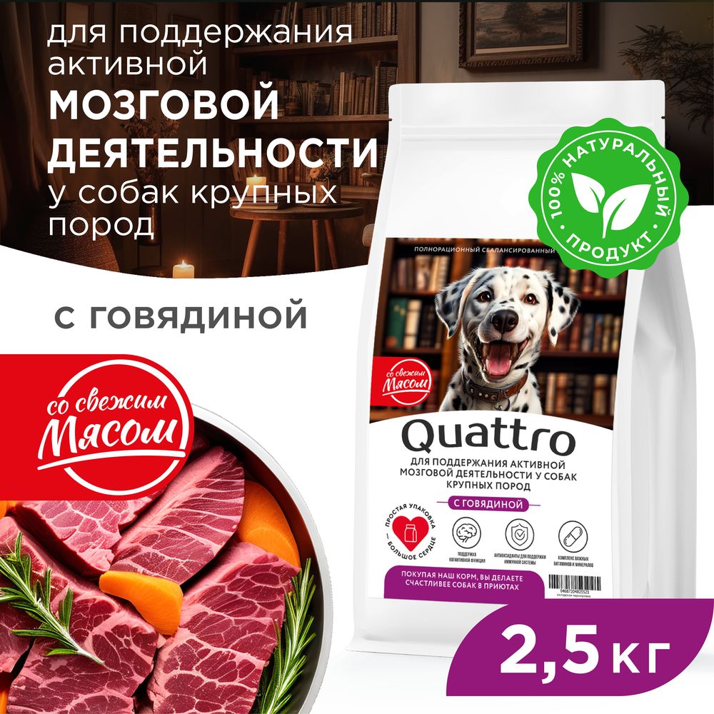 Сухой корм для собак QUATTRO, крупные породы, для мозговой деятельности, говядина, 2,5 кг