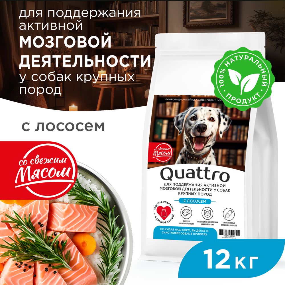 

Сухой корм для собак QUATTRO, крупные породы, для мозговой деятельности, лосось, 12 кг