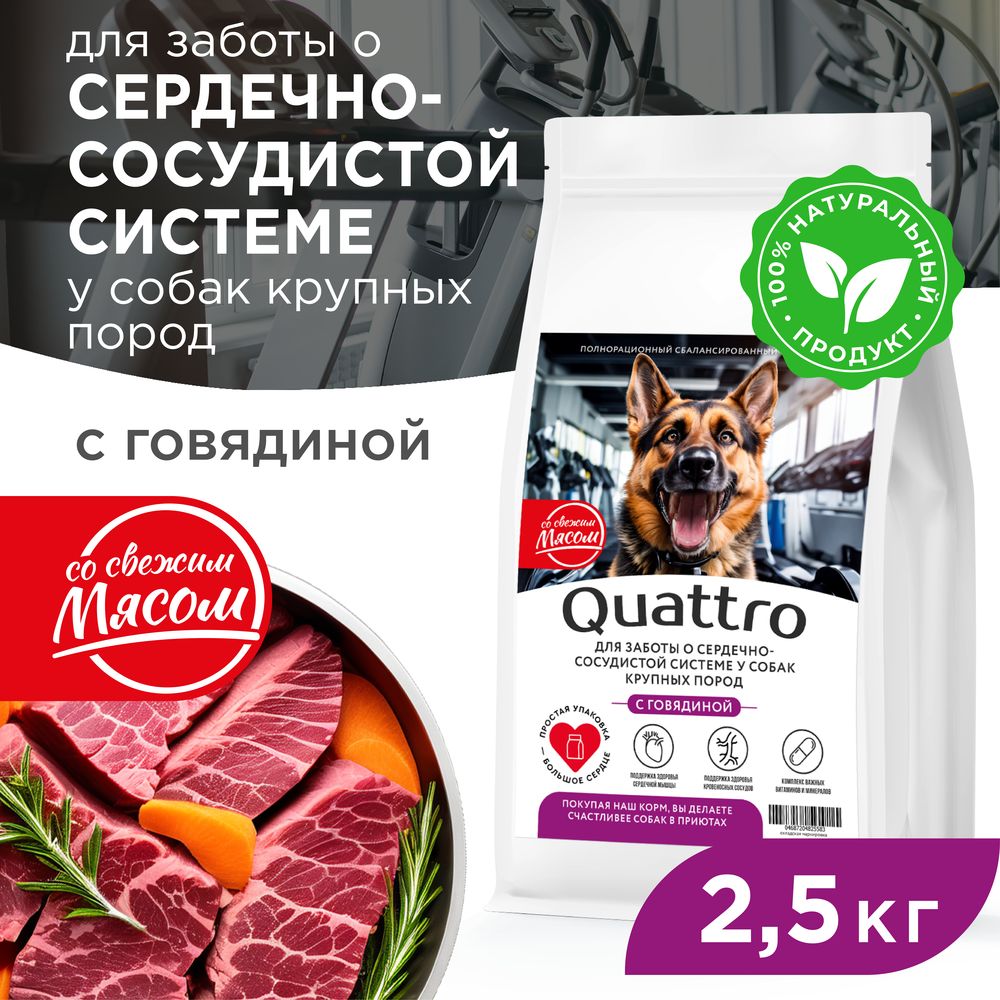 Сухой корм для собак QUATTRO, крупные породы, для сердца и сосудов, с говядиной, 2,5 кг