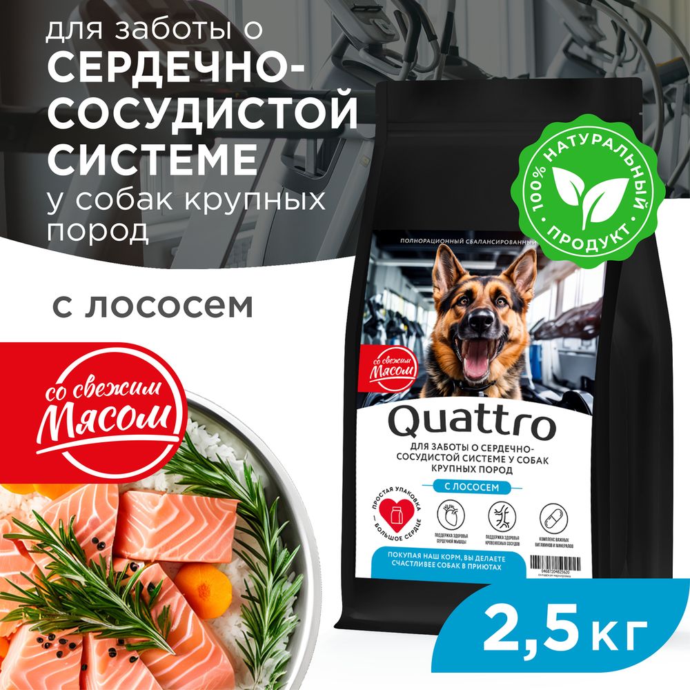 

Сухой корм для собак QUATTRO, крупные породы, для сердца и сосудов, с лососем, 2,5 кг