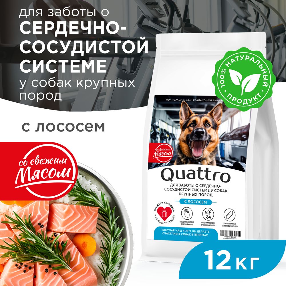 

Сухой корм для собак QUATTRO, крупные породы, для сердца и сосудов, с лососем, 12 кг