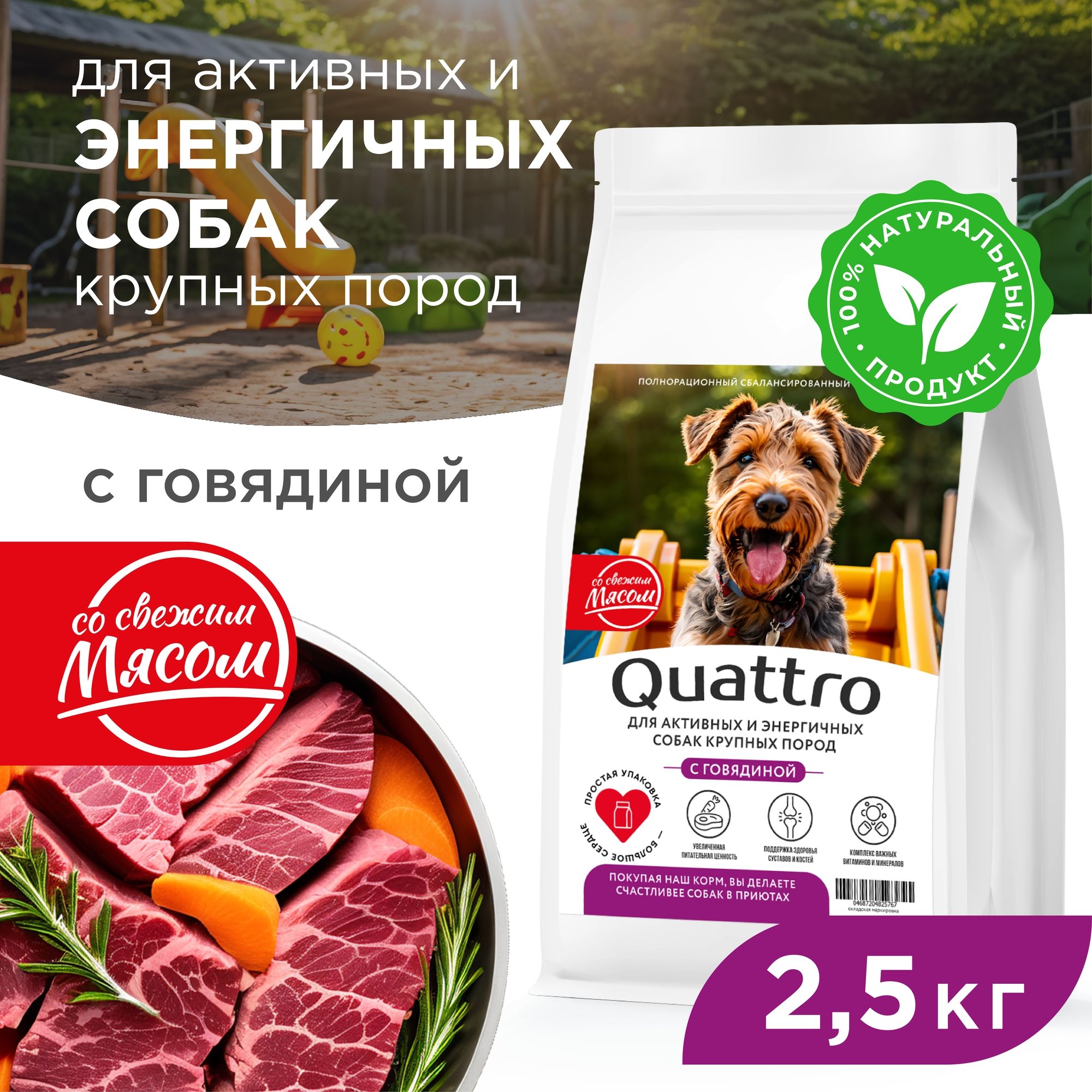 Сухой корм для собак QUATTRO, крупные породы, для активных и энергичных, говядина, 2,5 кг