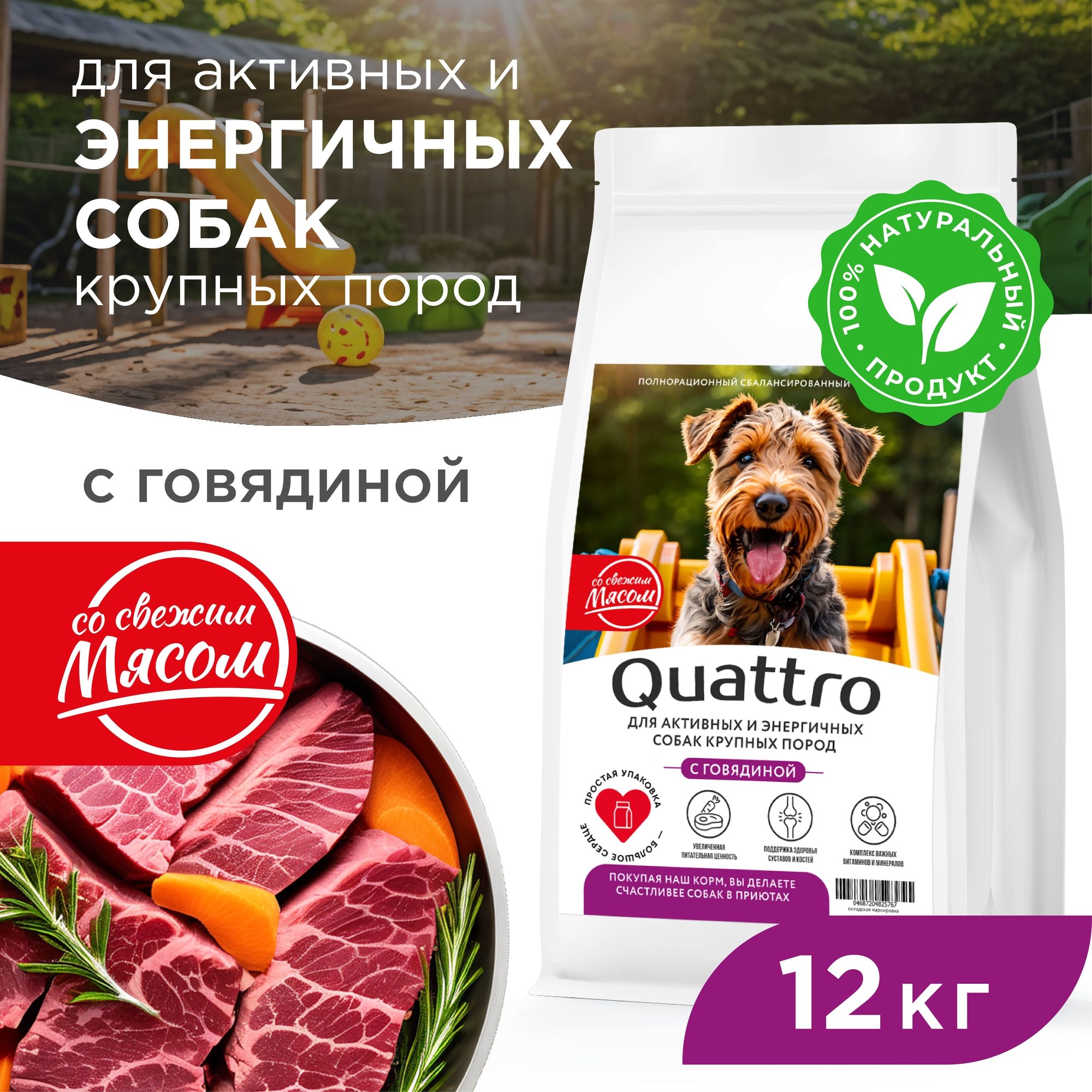 

Сухой корм для собак QUATTRO, крупные породы, для активных и энергичных, говядина, 12 кг