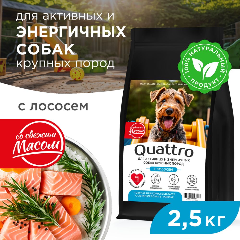 

Сухой корм для собак QUATTRO, крупные породы, для активных и энергичных, с лососем, 2,5 кг