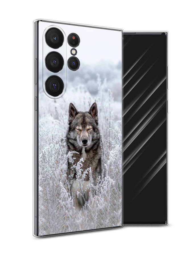 

Чехол Awog на Samsung Galaxy S23 Ultra 5G "Волк в поле", Белый;черный, 2107550-1
