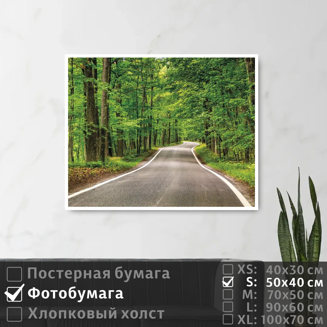 

Постер на фотобумаге ПолиЦентр Дорога уходящая вдаль в летнем лесу 50х40 см, ДорогаУходящаяВдальВЛетнемЛесу