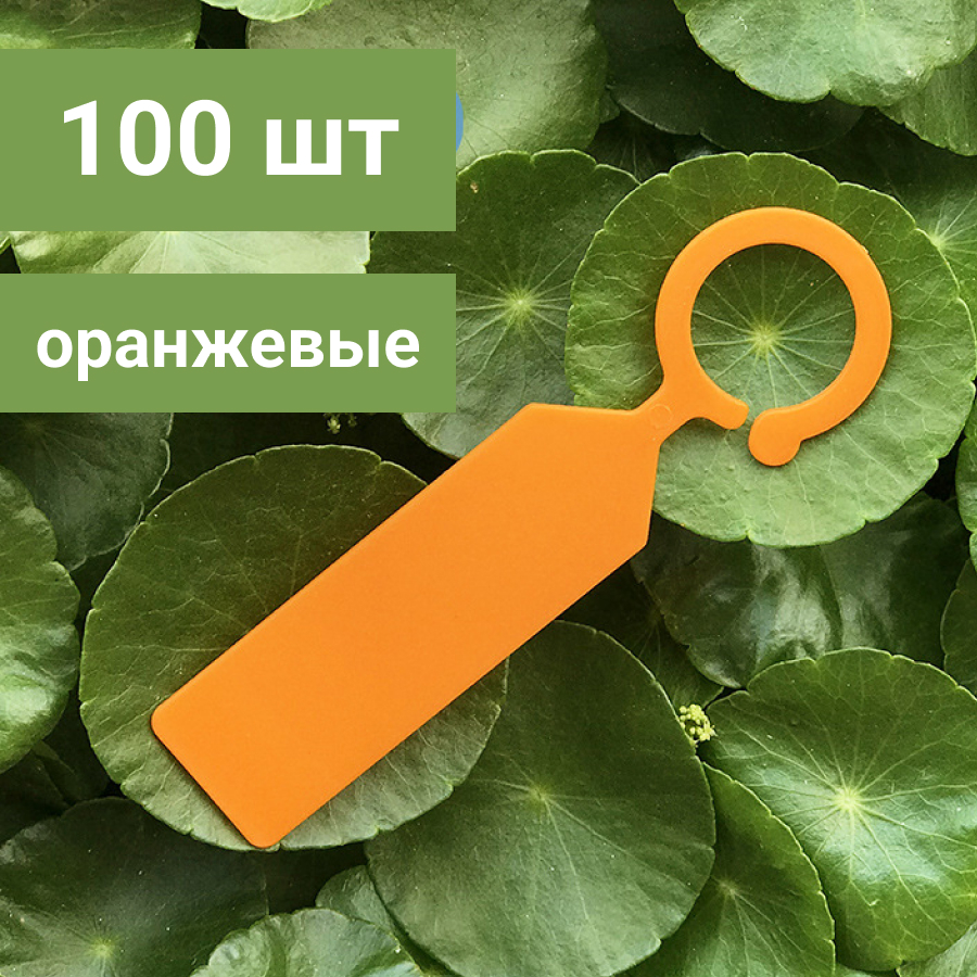 Таблички для рассады NoBrand Бир100 оранжевый 100 шт.