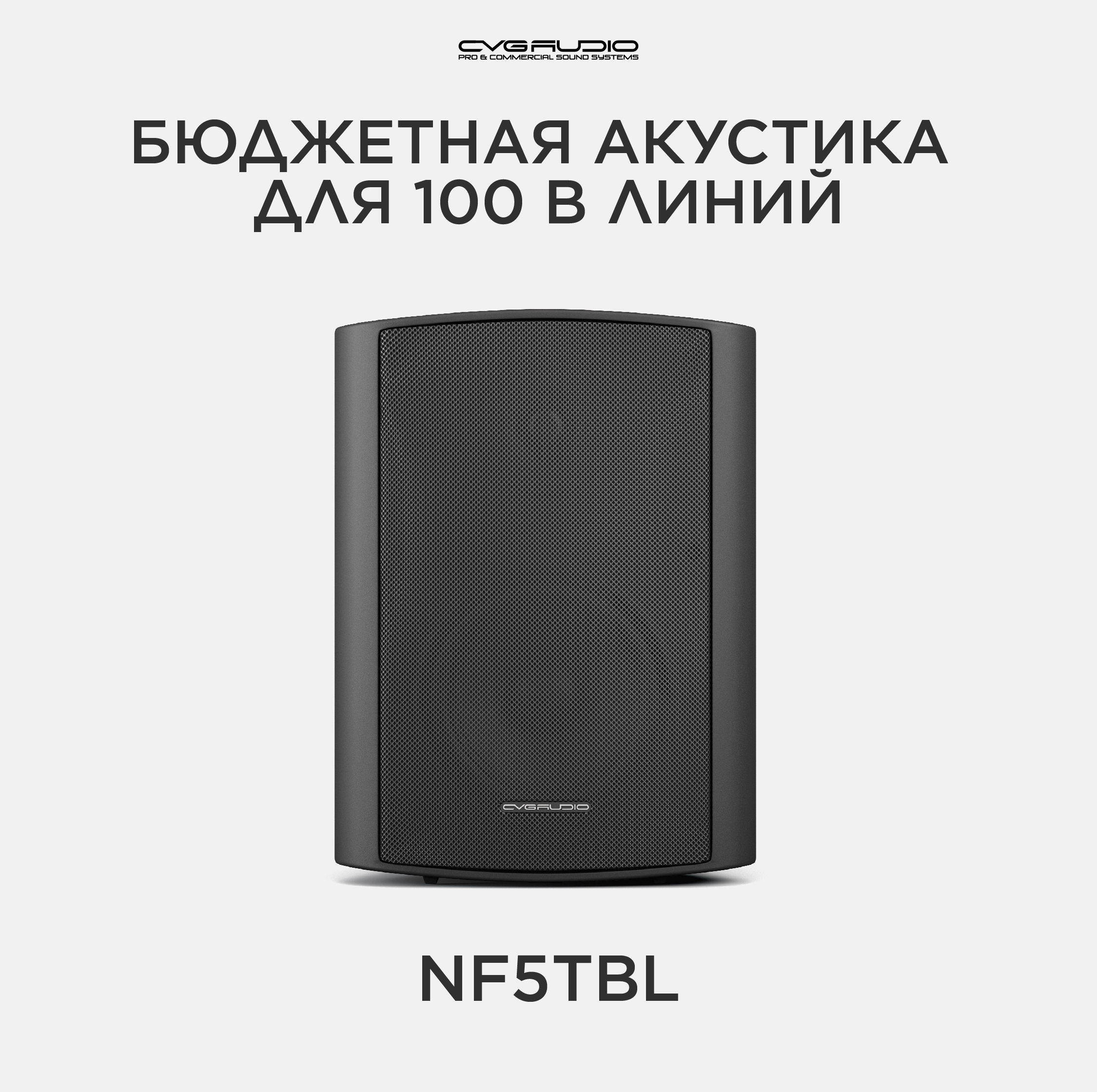 

Трансформаторная акустика CVGaudio Public Adress NF5TBL, NF5TBL