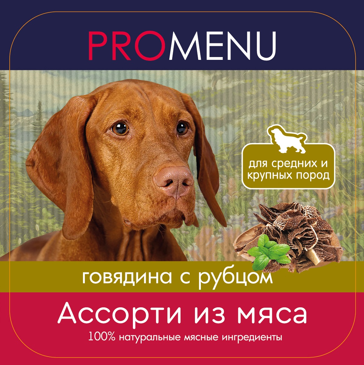 

Консервы для собак Pro Menu, говядина, рубец, 10шт по 300 г, Medium & Maxi