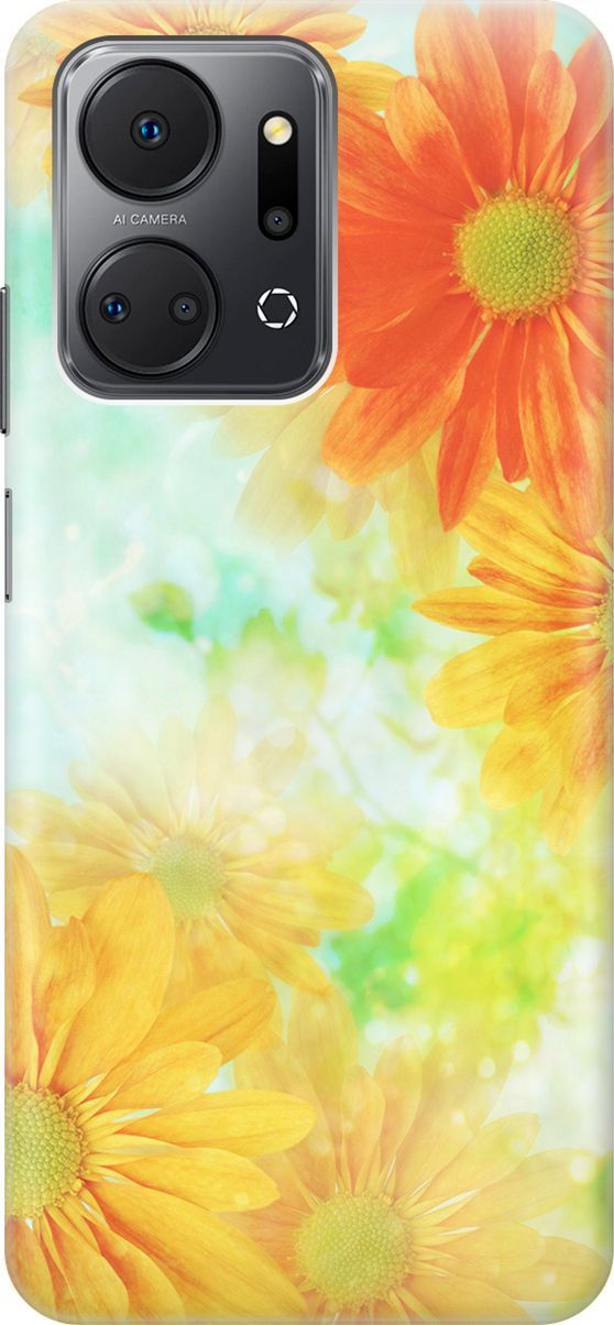 Силиконовый чехол на Honor X7a с принтом 