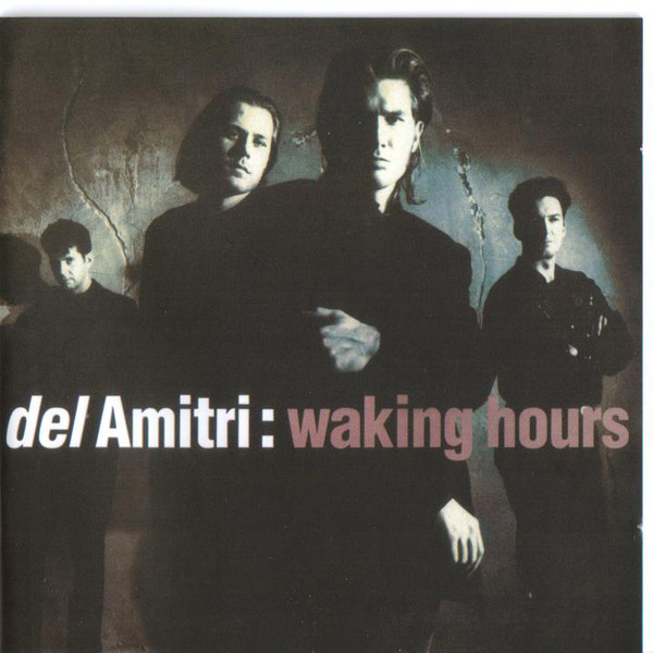 Del Amitri: Waking Hours (2 CD)