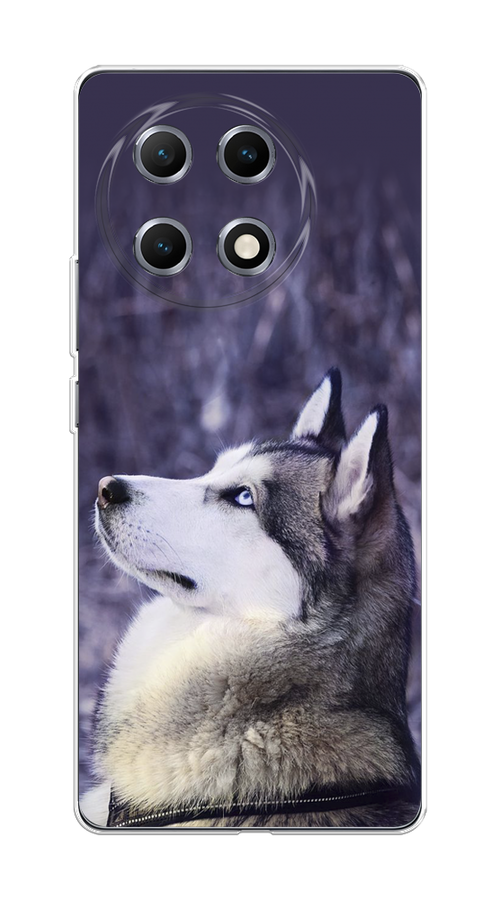 

Чехол на Tecno Camon 30S Хаски 1, Фиолетовый;белый, 309650-1