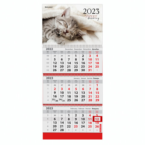 

Календарь квартальный на 2023 г., "SWEET DREAMS", BRAUBERG, 114226 29,5х80 см