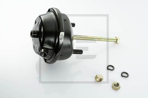 

PE AUTOMOTIVE 07640300A 076.403-00A_камера тормозная !T30 (без вилки 076.421-20A) \Omn MB,