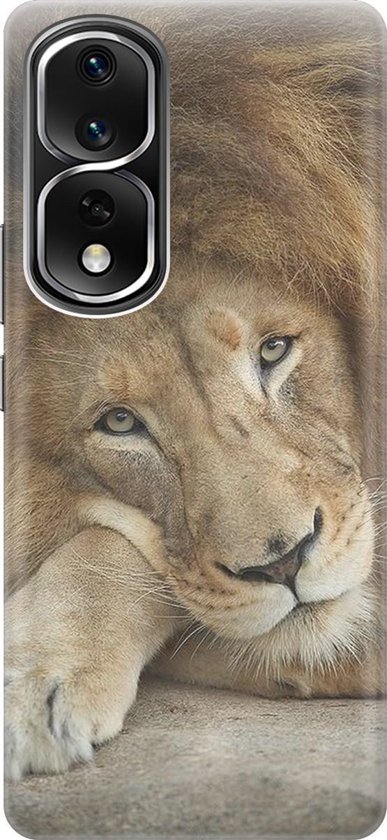Силиконовый чехол на Honor 80 Pro с принтом 