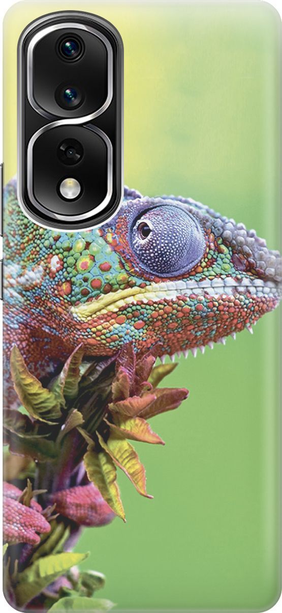 Силиконовый чехол на Honor 80 Pro с принтом 