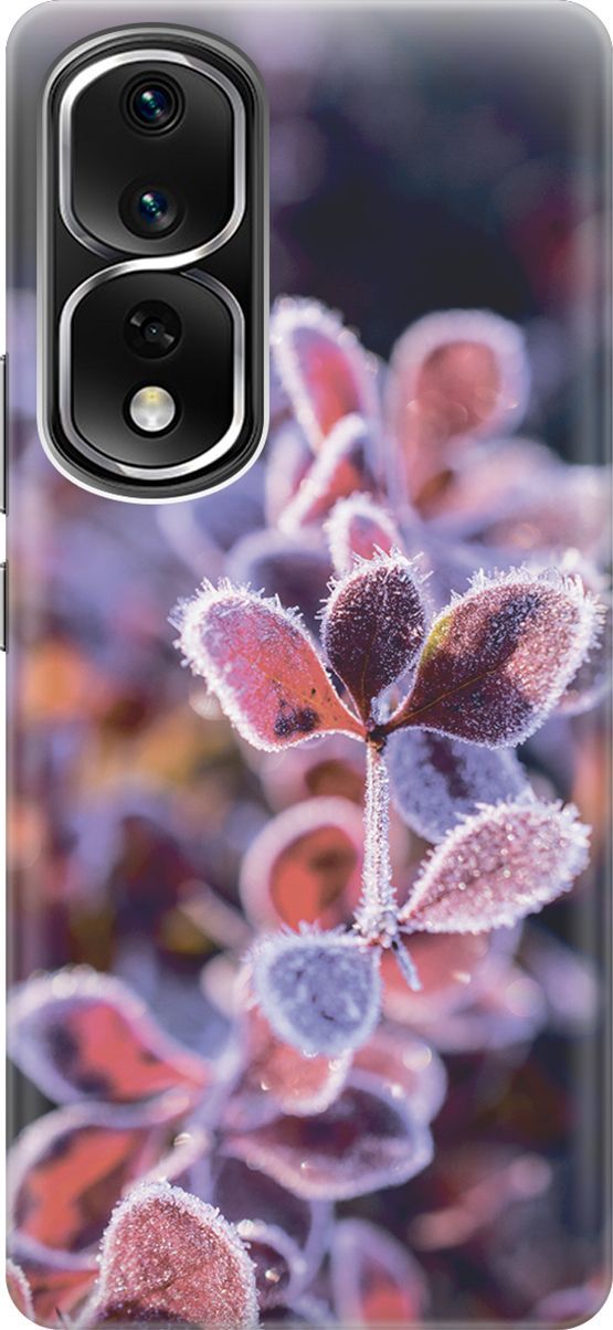 Силиконовый чехол на Honor 80 Pro с принтом 