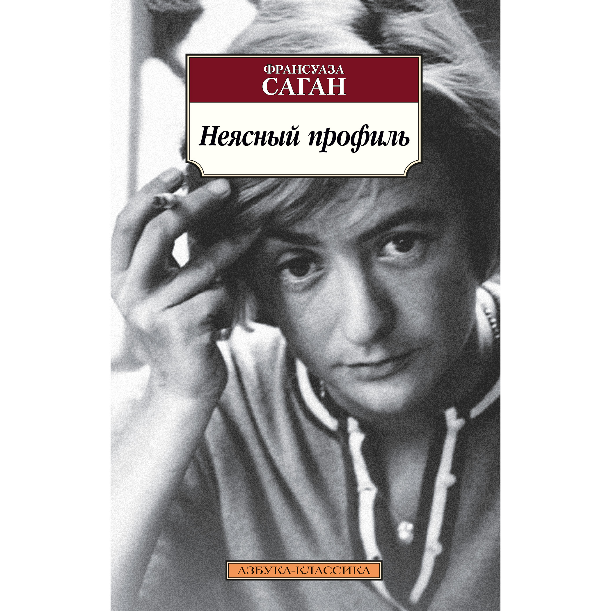 

Книга Неясный профиль