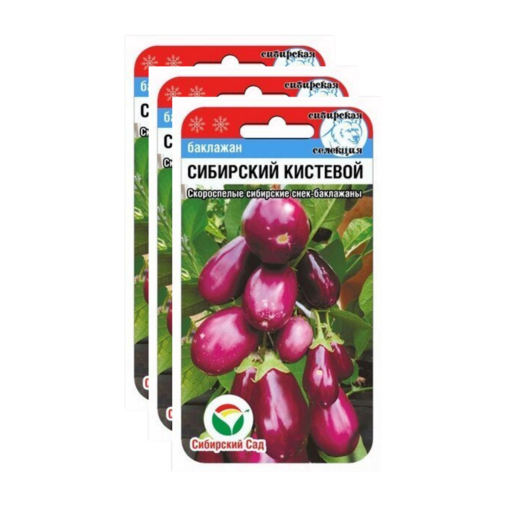

Семена баклажан Сибирский кистевой Сибирский сад 23-02544 3 уп., Баклажан
