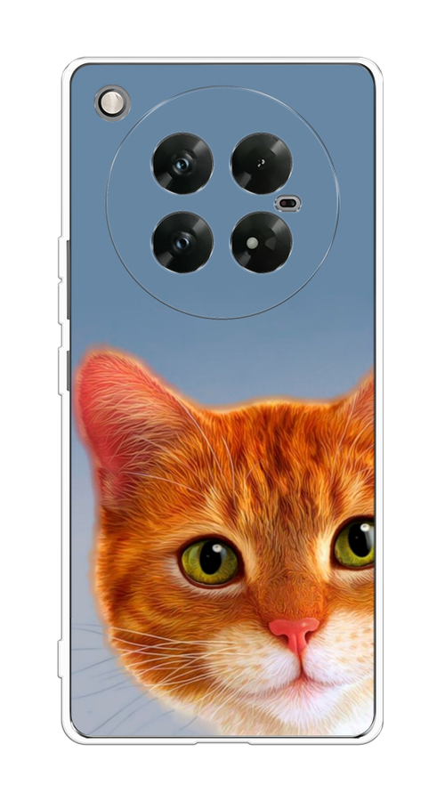 

Чехол на Infinix Zero 40 5G "Любопытный котик", Коричневый, 3106650-1