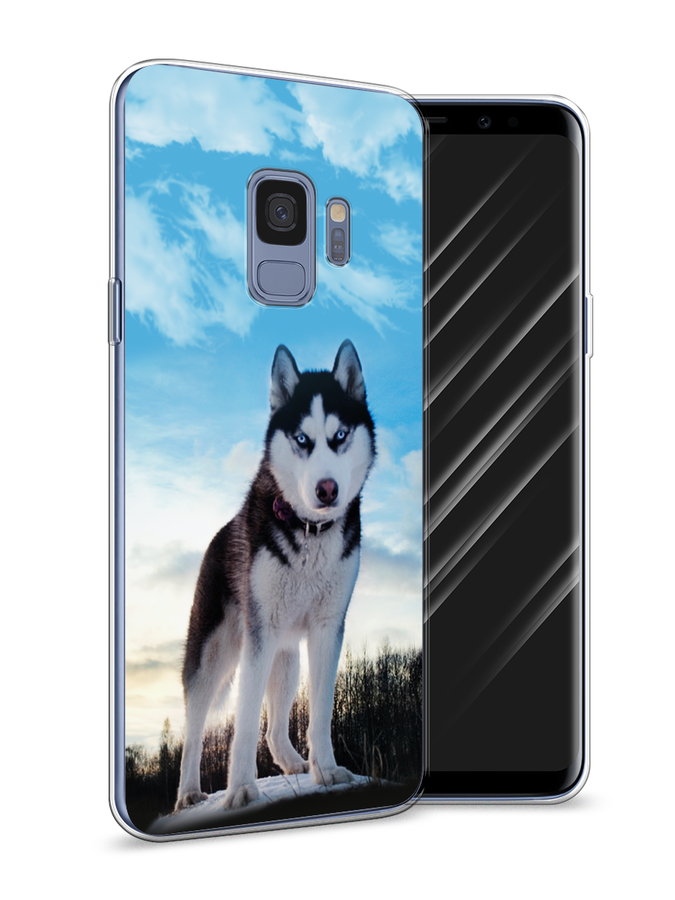 

Чехол Awog на Samsung Galaxy S9 "Хаски 3", Белый;черный;голубой, 25750-2