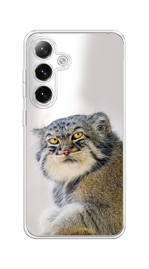

Чехол на Samsung Galaxy S24 "Кот манул 1", Серый;белый;желтый, 2109050-1