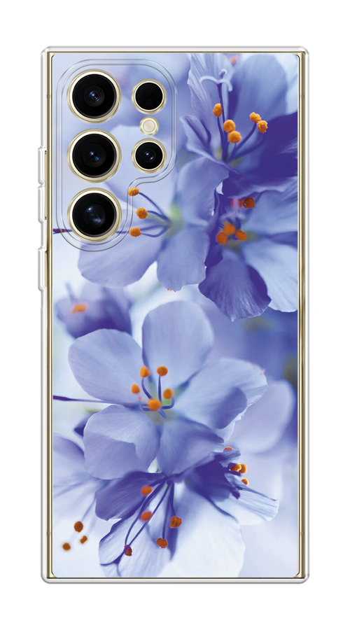 

Чехол на Samsung Galaxy S24 Ultra "Фиолетовые цветки", Фиолетовый;синий, 2109250-1
