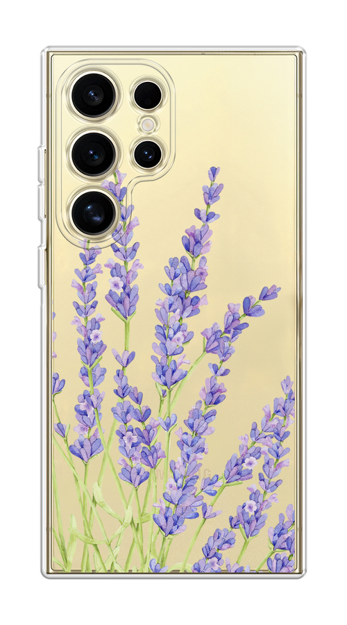 

Чехол на Samsung Galaxy S24 Ultra "Лавандовые стебли", Фиолетовый;зеленый, 2109250-1