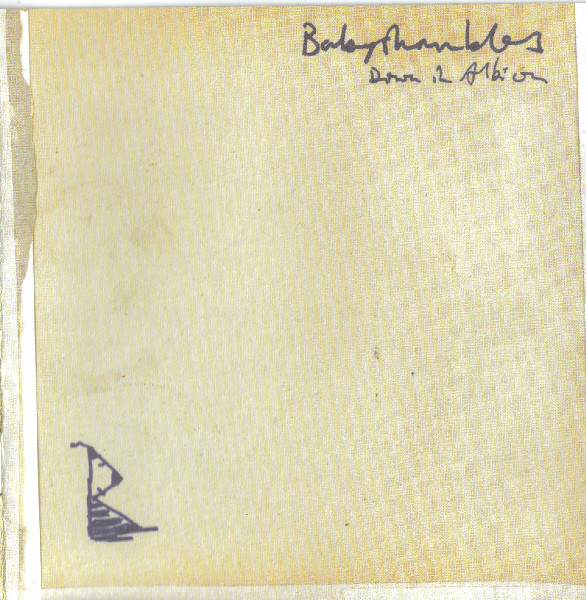 

Babyshambles: Down In Albion (1 CD)