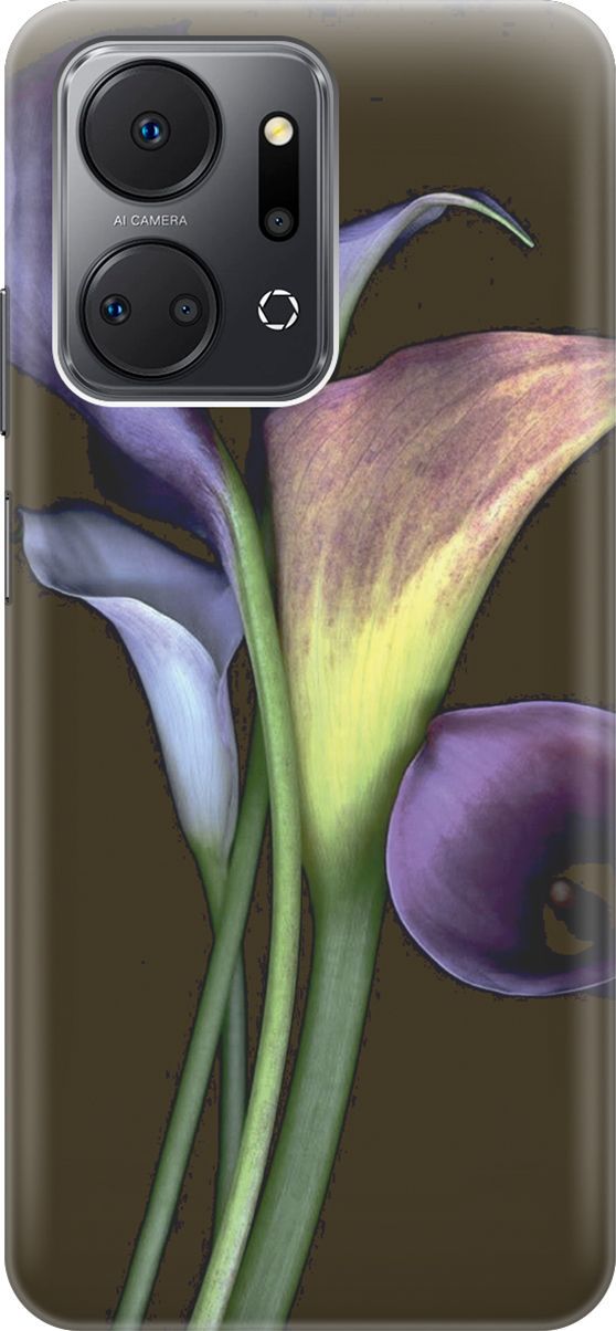 

Силиконовый чехол на Honor X7a с принтом "Каллы", Зеленый;коричневый, 159386