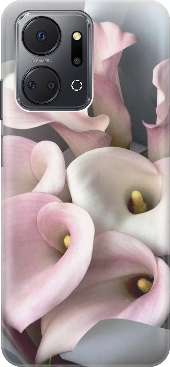 Силиконовый чехол на Honor X7a с принтом 