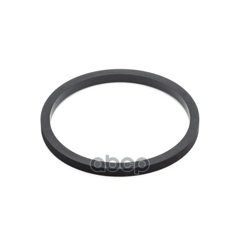 

Кольцо поршня переднего суппорта HYUNDAI/KIA 58113-3B900, 581133B900