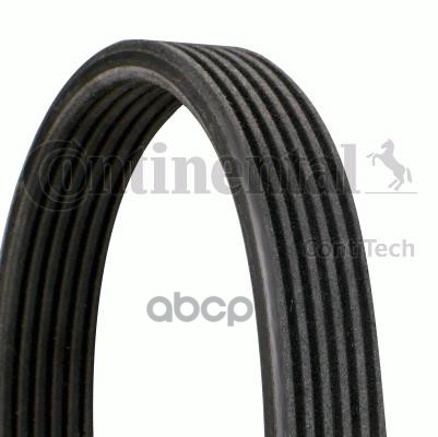 

Ремень ручейковый CONTITECH 6DPK1100