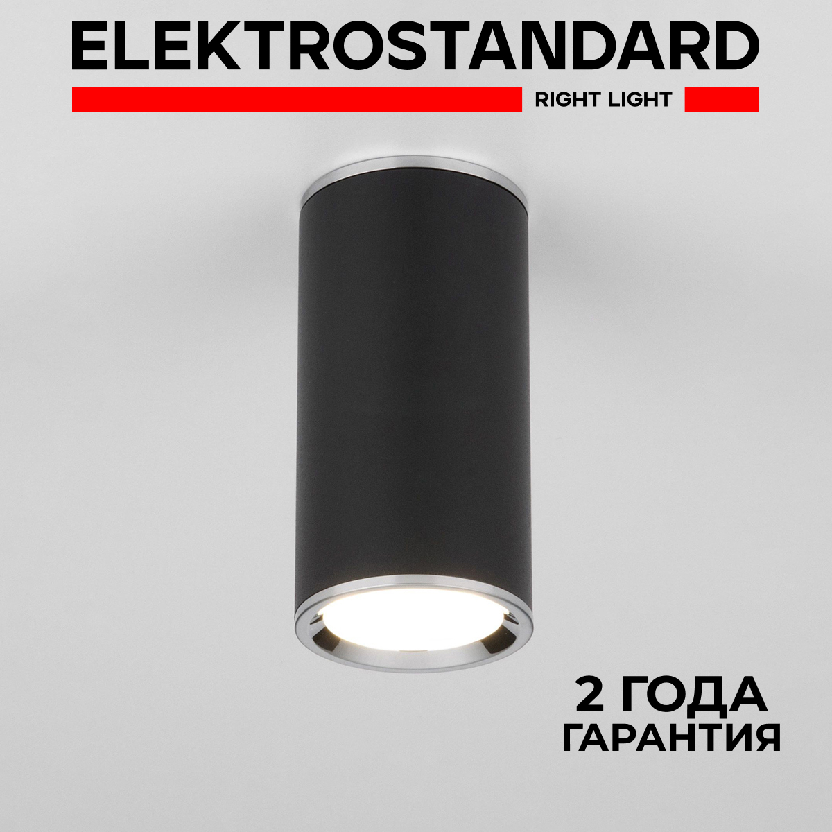 Накладной потолочный светильник Elektrostandard Rutero DLN101 BK GU10 черный