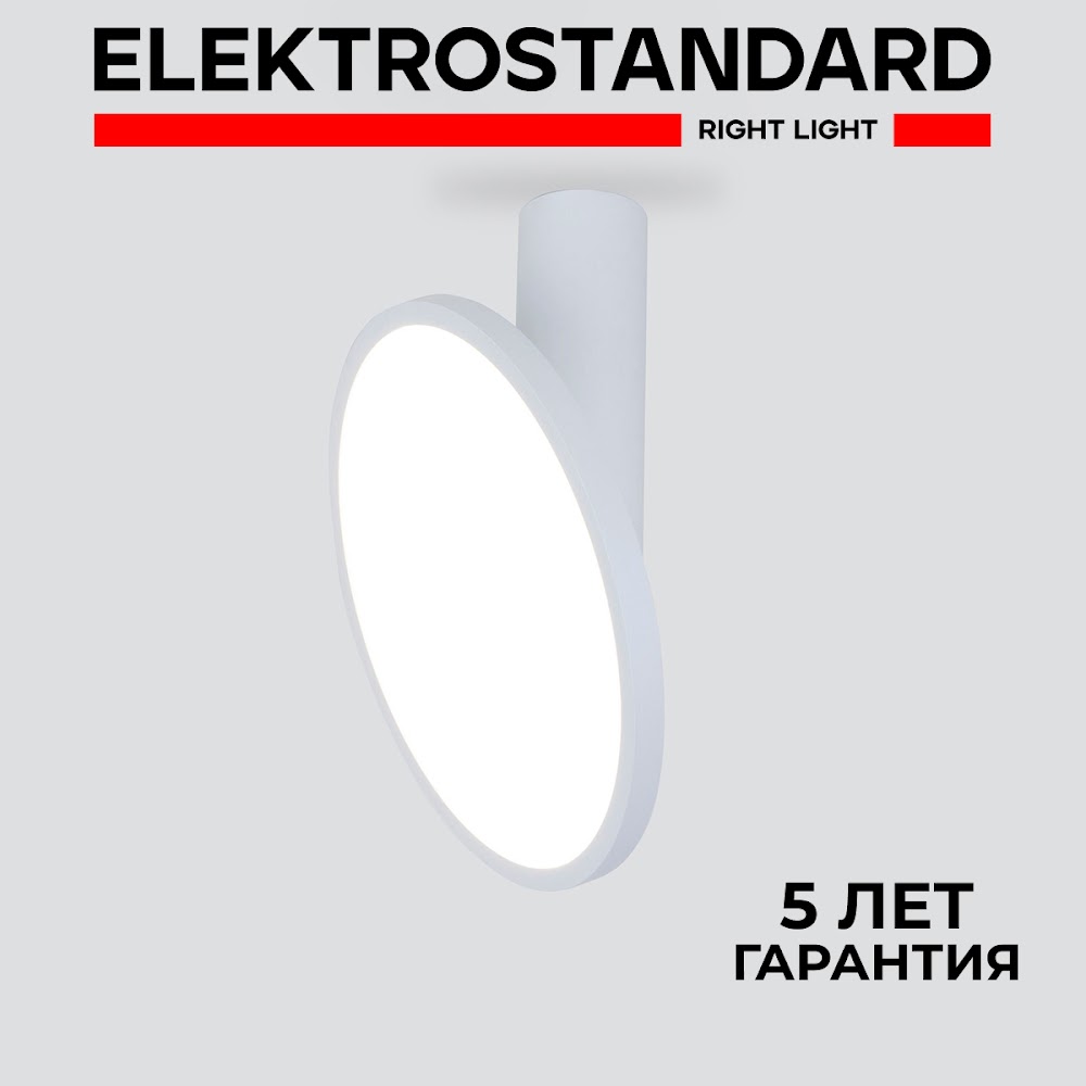 Накладной светодиодный светильник Elektrostandard Brain DLS029 12W 4200K белый матовый