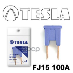 

Предохранитель Tesla Fj15 100A TESLA FJ15 100A