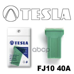 

Предохранитель Tesla Fj10 40A TESLA FJ10 40A