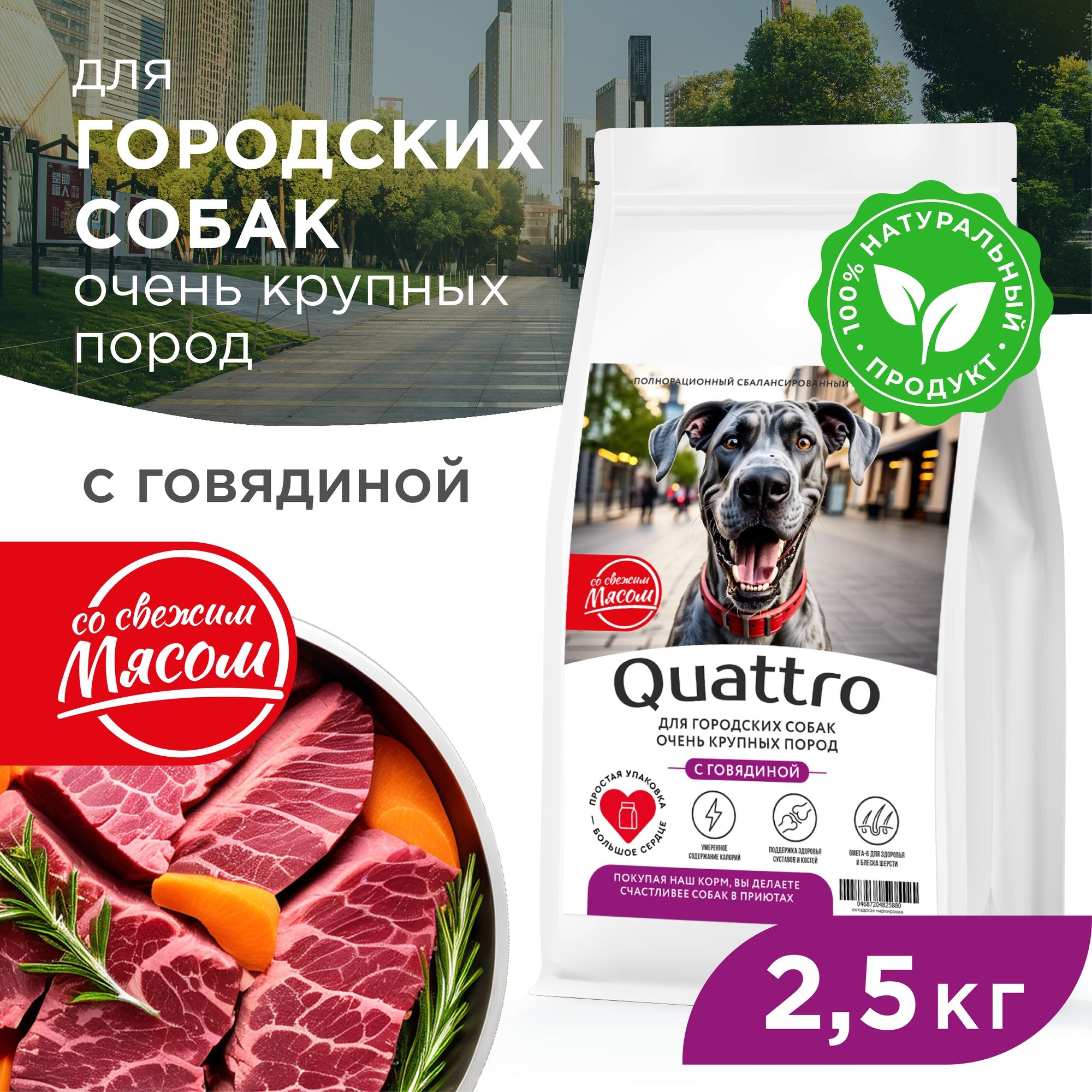 Сухой корм для собак QUATTRO, большие породы, для живущих в городе, с говядиной, 2,5 кг