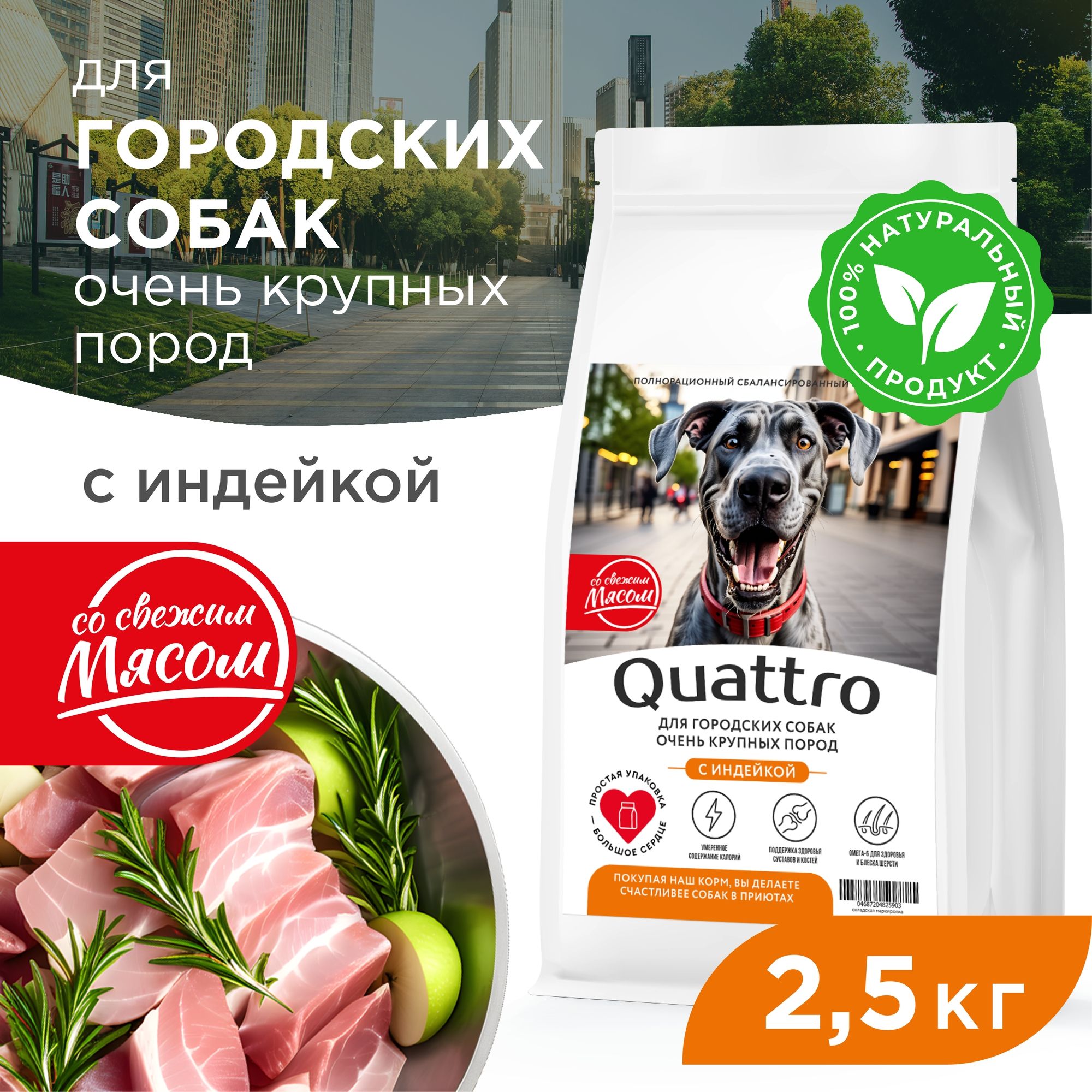 

Сухой корм для собак QUATTRO, большие породы, для живущих в городе, с индейкой, 2,5 кг