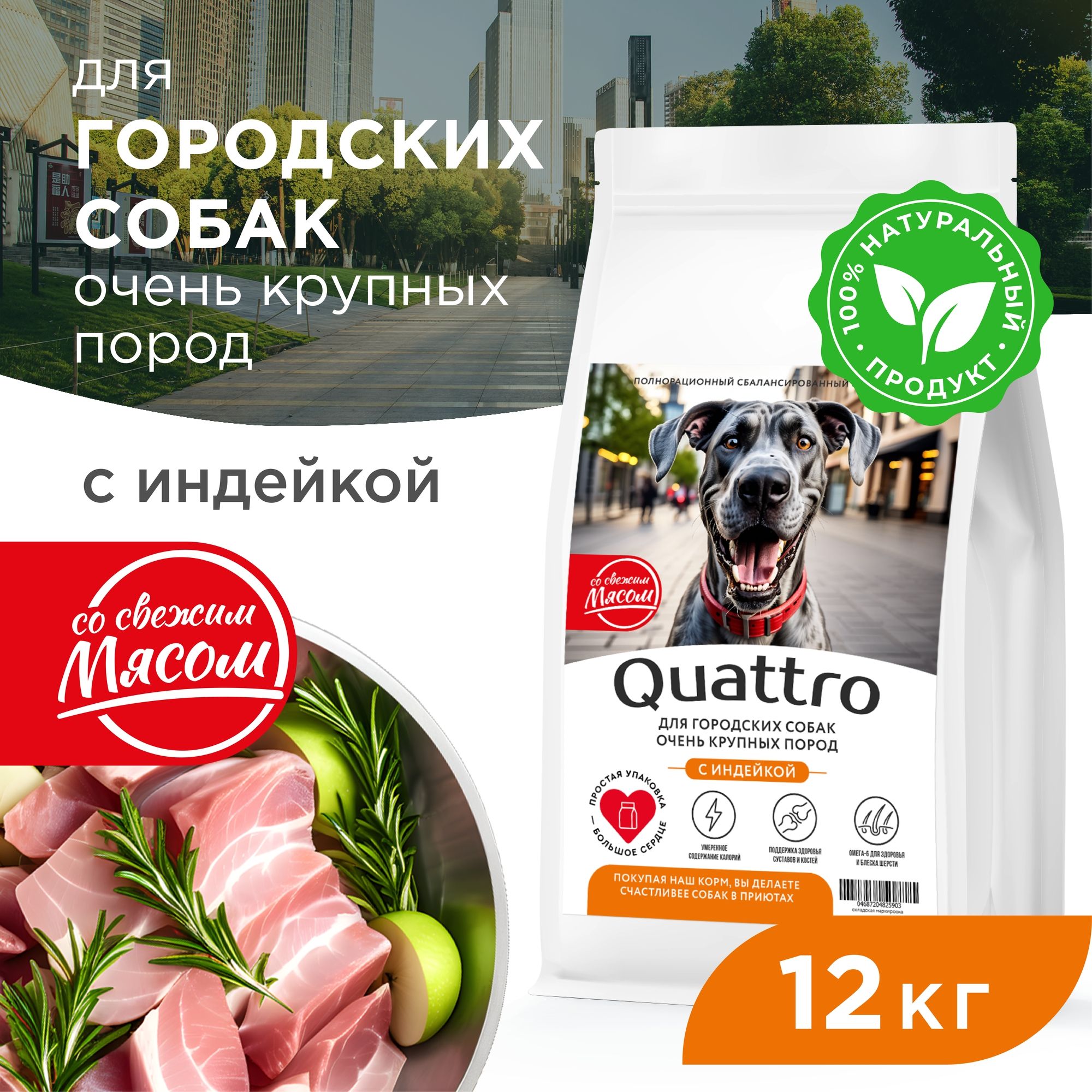 

Сухой корм для собак QUATTRO, большие породы, для живущих в городе, с индейкой, 12 кг